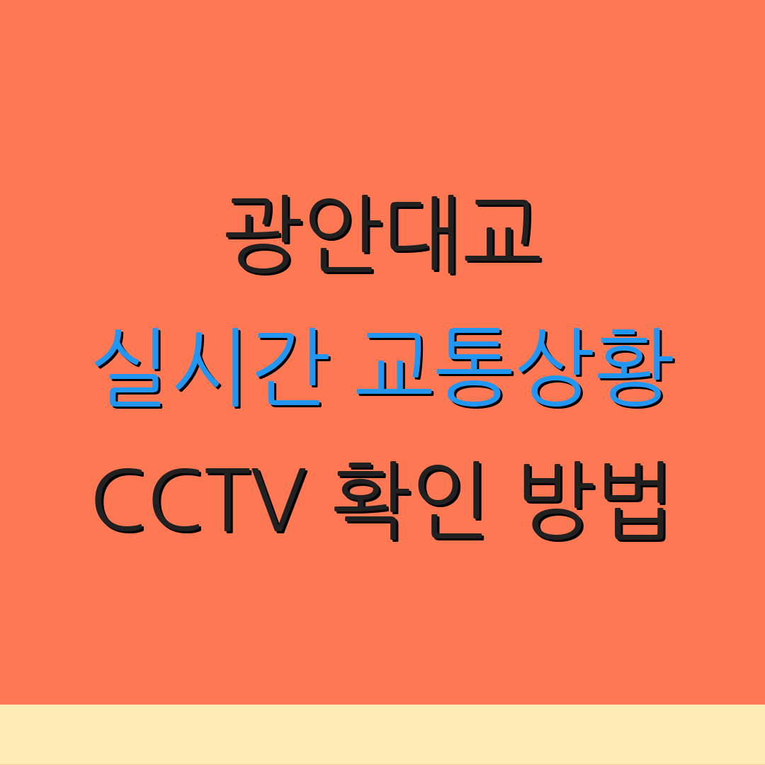 광안대교 실시간 교통상황 CCTV 확인 방법 | 요금 정보 | 교통 혼잡 확인
