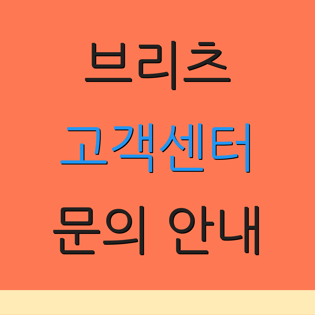 브리츠 고객센터 문의 안내 | 상담 절차 | 추가 사항