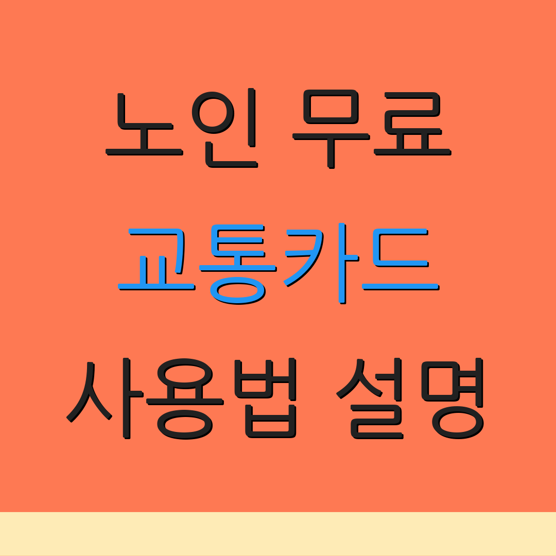 노인 무료 교통카드 사용법 설명 | 신청 방법 안내 | 재발급 절차