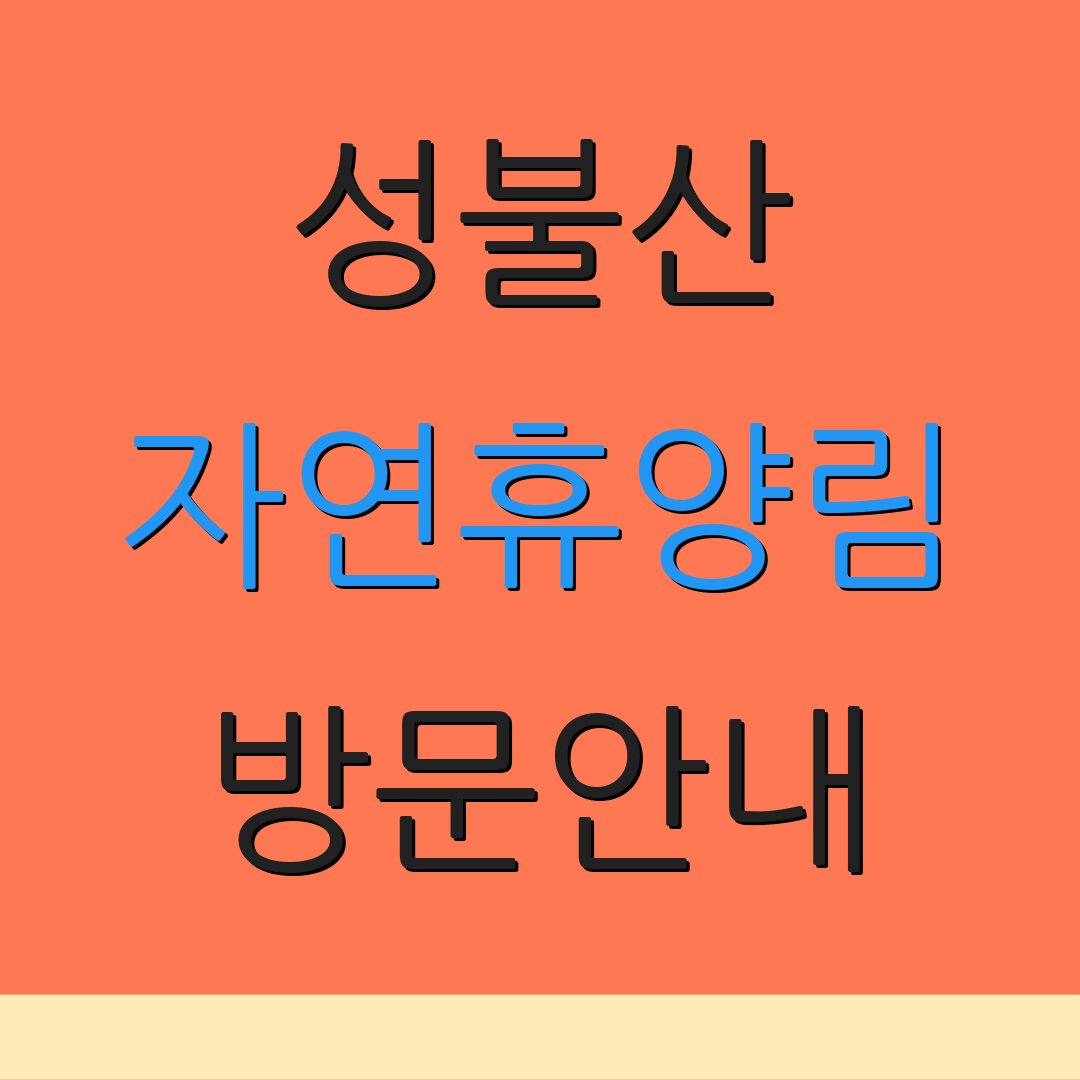 성불산 자연휴양림 방문안내 | 괴산 숲속펜션 | 감나무 은행나무 바베큐 예약
