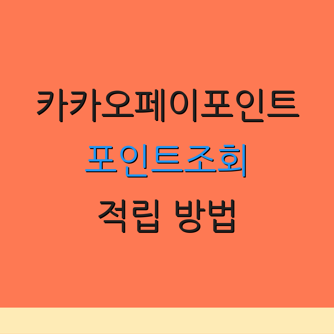 카카오페이포인트 포인트조회 적립 방법 | 소멸 정보 | 전환 절차